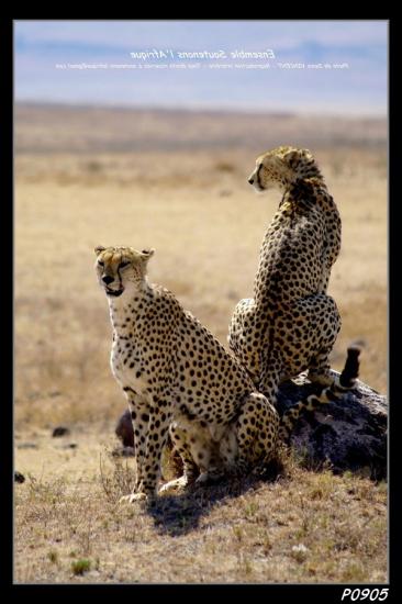 Soutenons l'Afrique 304