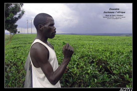 Soutenons l'Afrique 329