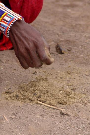 Soutenons l'Afrique 410