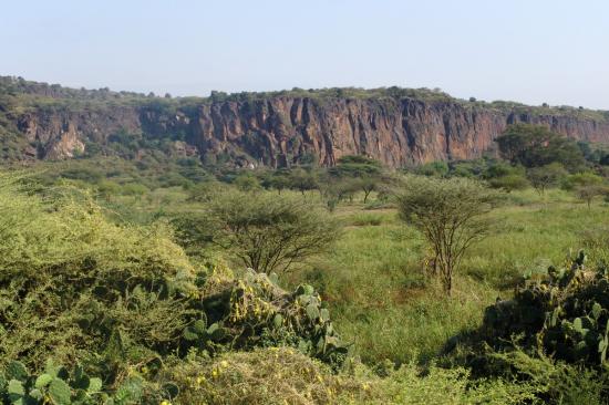 Soutenons l'Afrique 706