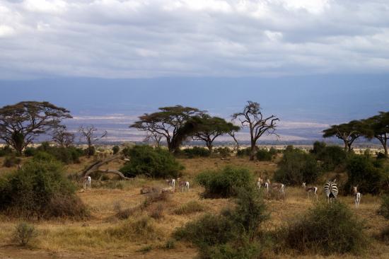 Soutenons l'Afrique 770